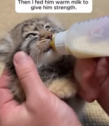 She Brought Her Frozen Baby To His Door For Help (Part 2)