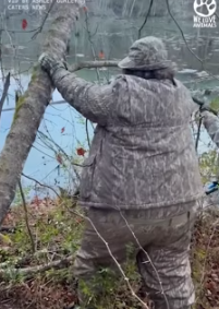 Kindhearted people (Part 2)