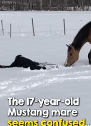 joy is absolutely infectious (Part 2)