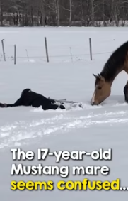 joy is absolutely infectious (Part 2)