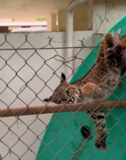 world needs more compassionate people like this (Part 2)