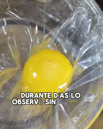 A1602028 The stray puppy stayed close to the meat stall, refusing to leave (Part 2)