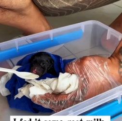 R2402006 From struggle to steady comfort (Part 2)