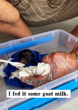 R2402006 From struggle to steady comfort (Part 2)