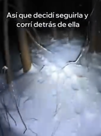 O0405009 Esta Madre Osa Salvó Su Cría (Parte 2)