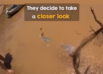 I2402004 Great job (Part 2)