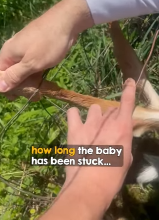 I2402009 Thank you, kind sir! (Part 2)