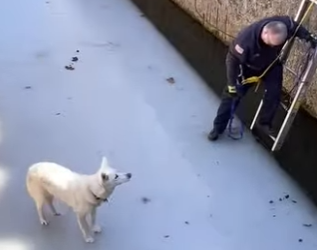 I2402011 Acts like these warms heart to core (Part 2)