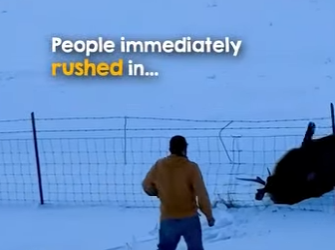 I2402002 Strangers turned into heroes (Part 2)