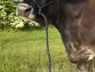 I2402010 She loves her home uncleneilshome Wat (Part 2)