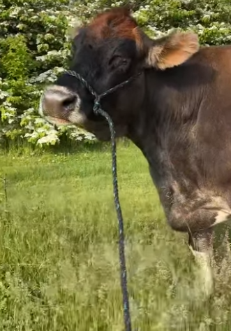 I2402010 She loves her home uncleneilshome Wat (Part 2)