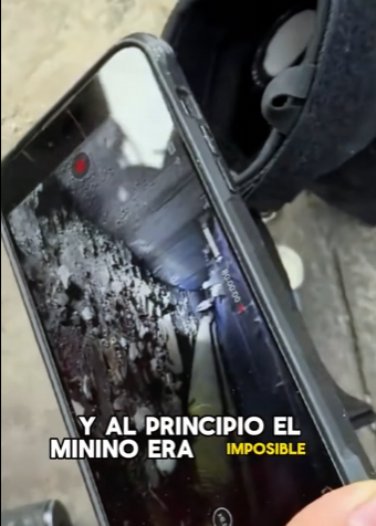 A2402003 A kitten was trapped in a sewer; it probably wouldn’t have survived if a passerby hadn’t fed it (Parte 2)