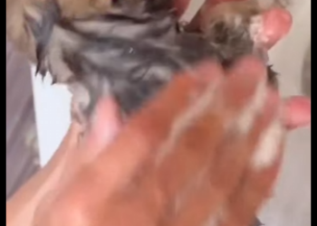 M2402004 💔Me llamaban pulgoso, apestoso… pero alguien creyó en mí” (Parte 2)