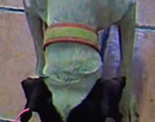 M2402002 PaidPartnership MakeLIVECount (Parte 2)