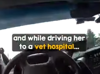 I0102012 Troopers save life (Part 2)