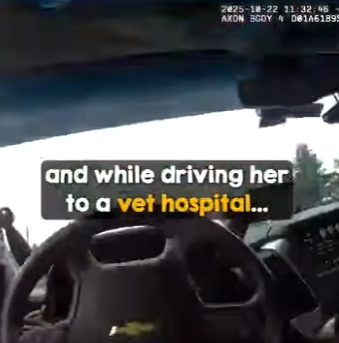 I0102012 Troopers save life (Part 2)