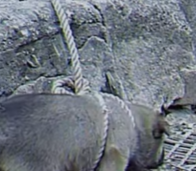 M2402007 💔Amarrado desde que nací,hasta que alguien rompió mis cadenas (Parte 2)