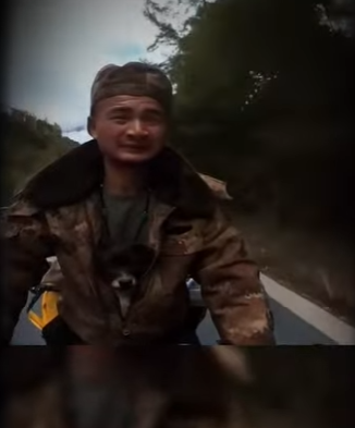 V2402005 el perrito lo siguió hasta conseguír que lo llevará con el ❤️ (Parte 2)