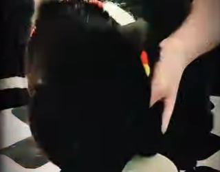 V2402010 el gato estaba perdiendo su color 😃😂 (Parte 2)