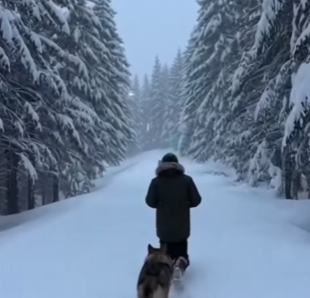 When Wolves Knocked on Our Door… (Parte 2)