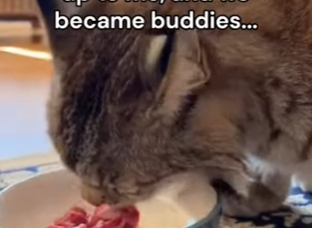 P2402006 Until we meet again ❤️🥹 (Parte 2)