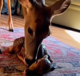 F2402002 Compassion arrived without delay (Part 2)