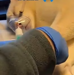 F2402001 A baby cougar asked me for help then I found Her mother (Part 2)