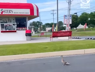 I2602012 You can judge heart of man by his (Part 2)