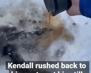 I2602007 Thank you kind man (Part 2)