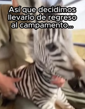 R2602007 Esto es amor (Part 2)