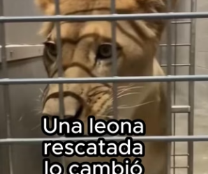 R2602010 Espero haber hecho lo correcto ❤️ (Part 2)