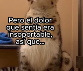 R2602011 Su pobre corazón (Part 2)