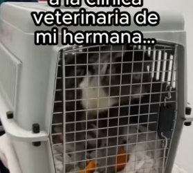 R2602009 Mi familia acaba de crecer ❤️(Part 2)