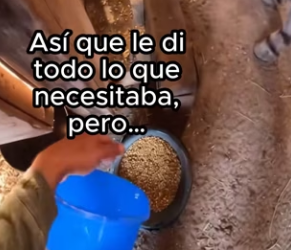 R2602008 Ella merecía más (Part 2)