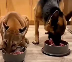 F2602012 mother final wish… You won believe who came back year lat…(Part 2)