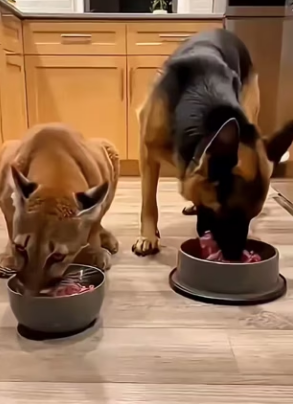 F2602012 mother final wish… You won believe who came back year lat…(Part 2)