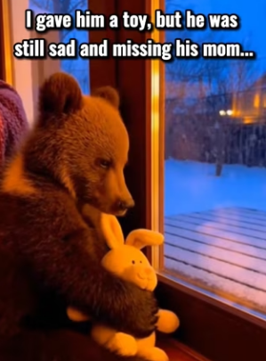 F2602002 baby dear was left at my door in snowstorms (Part 2)