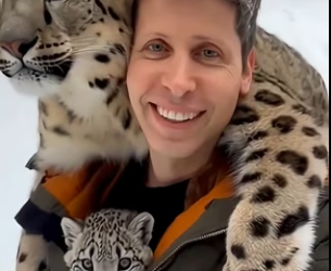 F2602006 Rescued snow leopard…and she saved my life (Part 2)