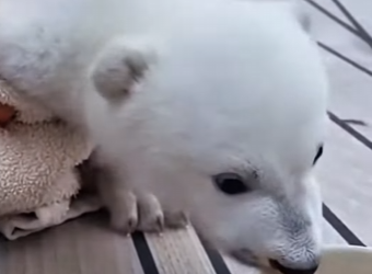 Z0102012This life found protection today (Part 2)