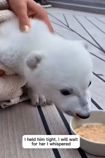 Z0102012This life found protection today (Part 2)