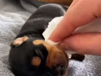 Z0102011 A rescue shaped by patience (Part 2)