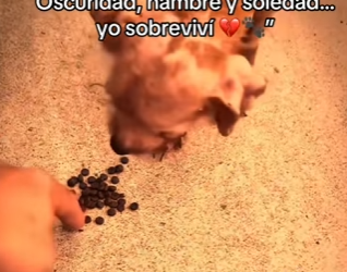 M2602011 Oscuridad, hambre soledad yo sobreviví (Parte 2)