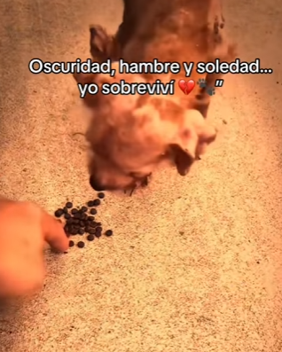 M2602011 Oscuridad, hambre soledad yo sobreviví (Parte 2)