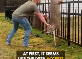 I0102006 He proved his strength, not just in muscle but in (Part 2)