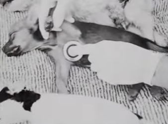 M2602004 Nos lanzaron como basura en la carretera pero el amor nos rescató (Parte 2)