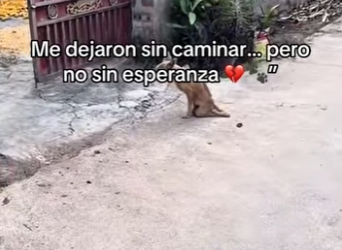 M2602001 Me dejaron sin caminar pero no sin esperanza (Parte 2)