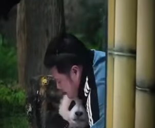 V2602004 su madre no lo quería (Parte 2)