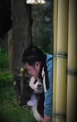 V2602004 su madre no lo quería (Parte 2)