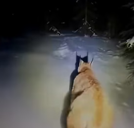 P2602002 wait heart warming moment at end (Part 2)