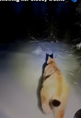 P2602002 wait heart warming moment at end (Part 2)